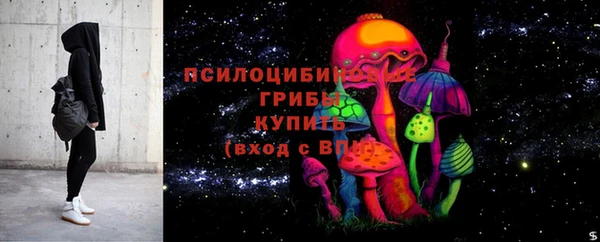 ешки Куйбышев