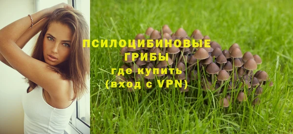 эйфоретик Лабытнанги