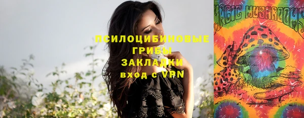 герыч Ладушкин