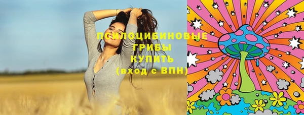 эйфоретик Лабытнанги